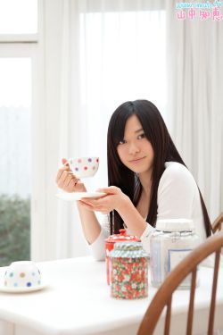 都奉顺电视剧完国语正版免费观看