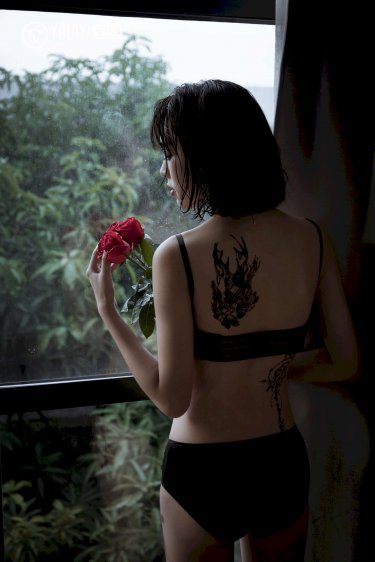 全金属外壳在线观看完整版